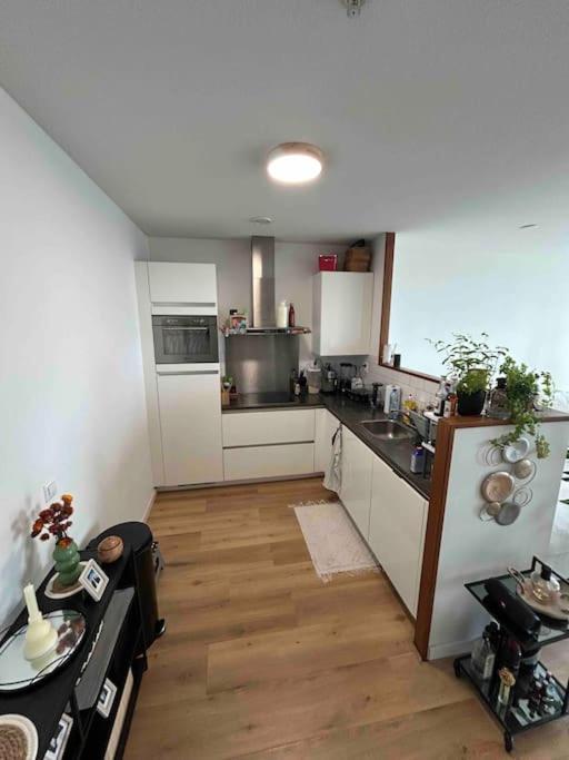 The Crown In Den Haag